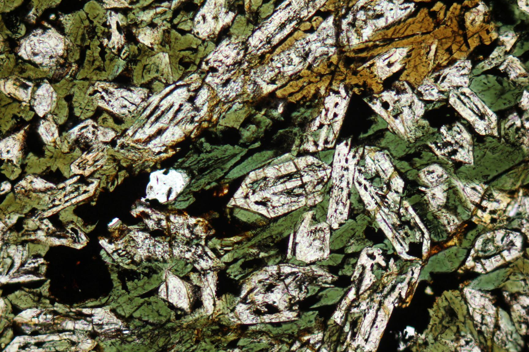 Plane polarized light image, magnification of natural binder